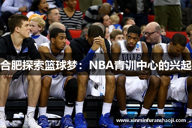 合肥探索篮球梦：NBA青训中心的兴起